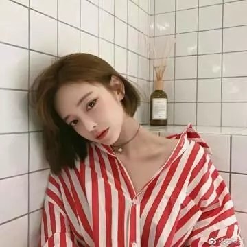 活树林海报