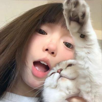 猫城海报